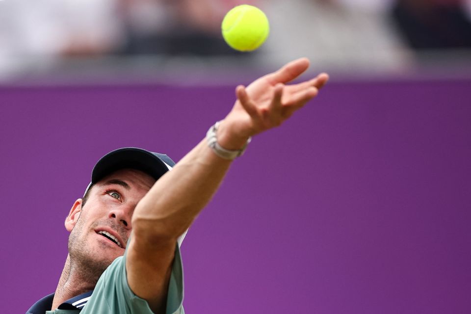 为我们提供 为我们提供