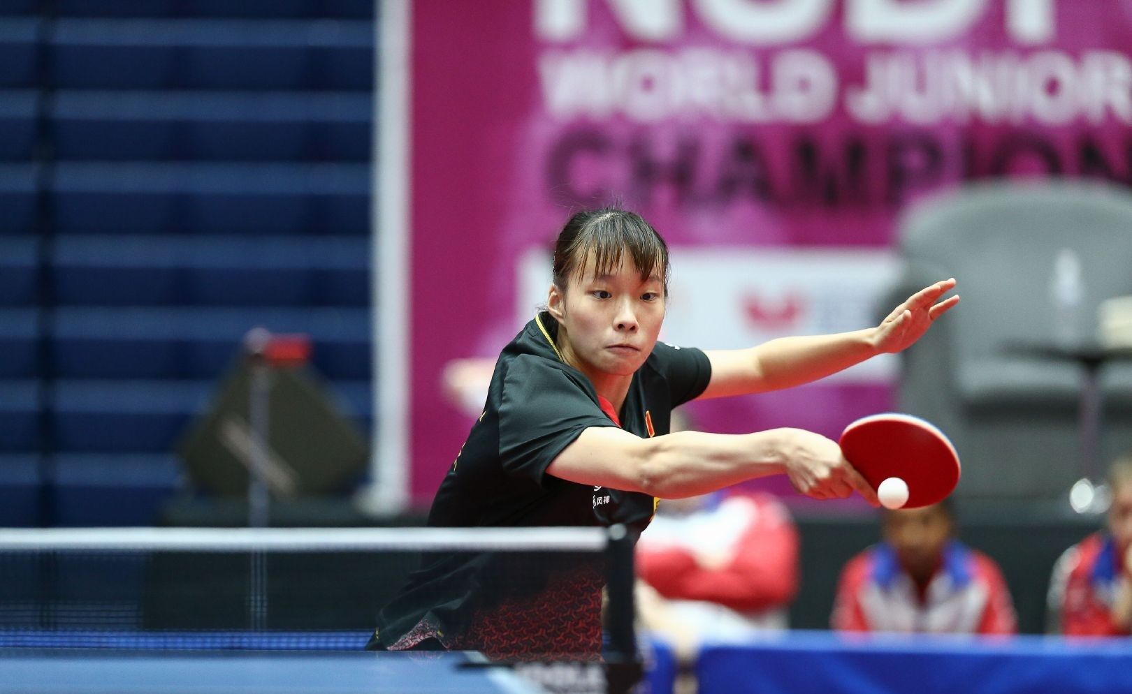 从这一点来 从这一点来